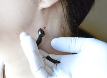 ΓΕΩΡΓΙΟΣ ΖΑΜΠΕΤΑΣ