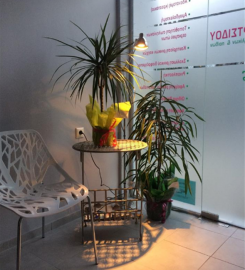 Δεμιρτσίδου Δέσποινα