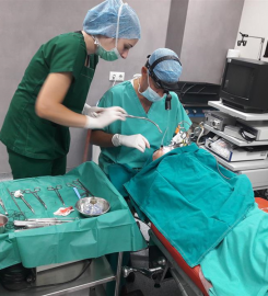 Κουσούλης Παναγιώτης