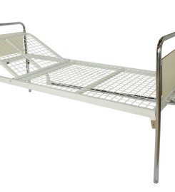 Ορθοκίνηση