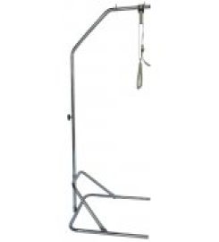 Ορθοκίνηση